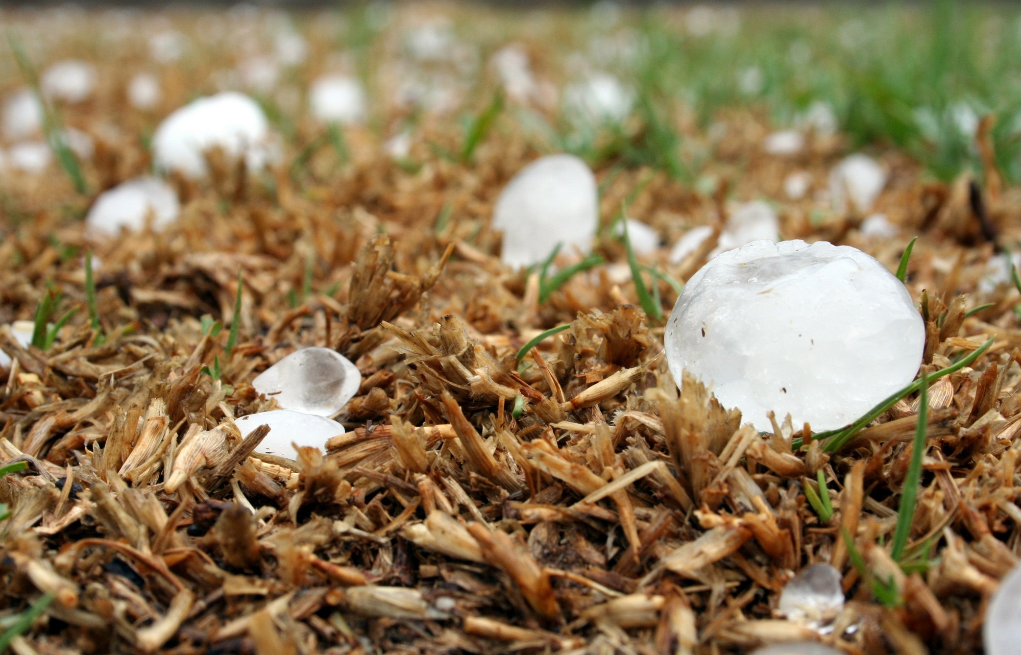 Is It Possible to Protect Your House From Hail Damage?