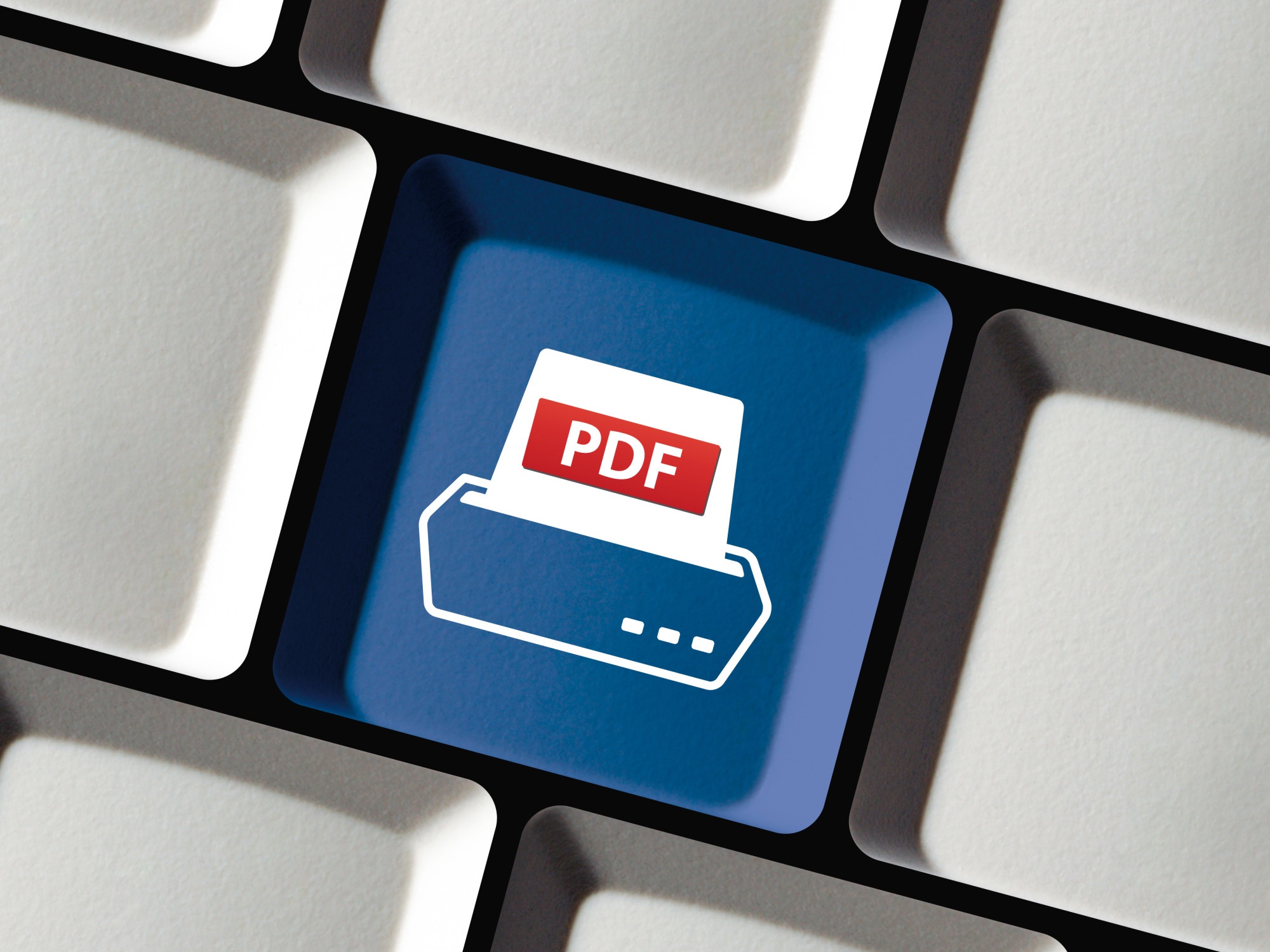 PDF printer icon on button