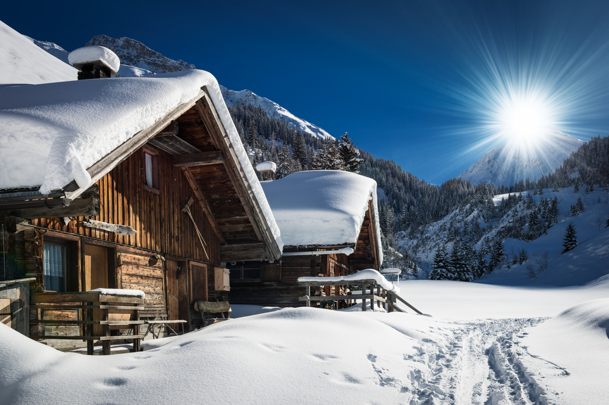 Cabin in a Ski Resort