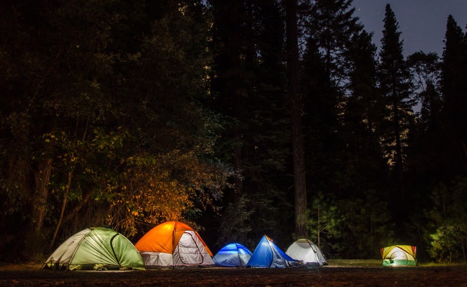 Camping Tents in the Forest