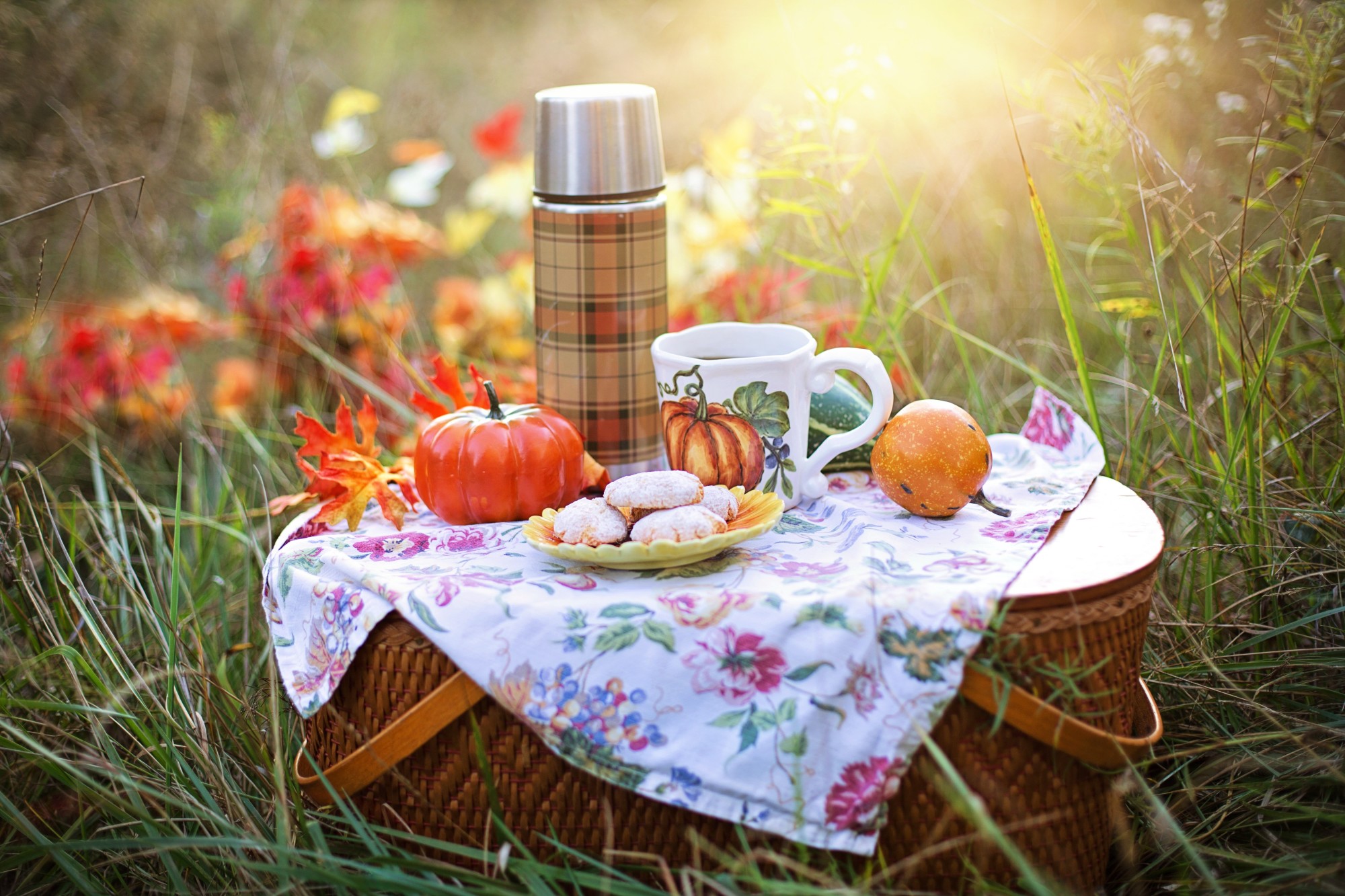 Perfect Picnic